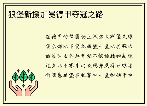 狼堡新援加冕德甲夺冠之路